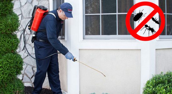 Mudurnu Böcek ve Haşere İlaçlama böcek ilaçlama ve haşere kontrolü — ilaclama-tr.com